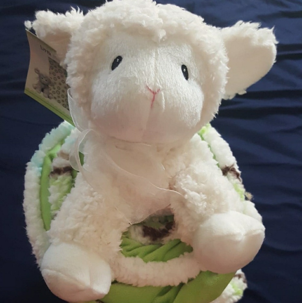 Hug and snug baby blanket